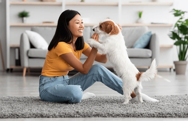 why dog dna test is important