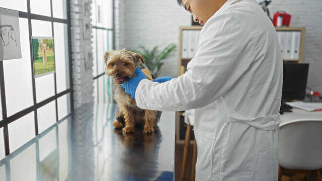 24 hour vet singapore